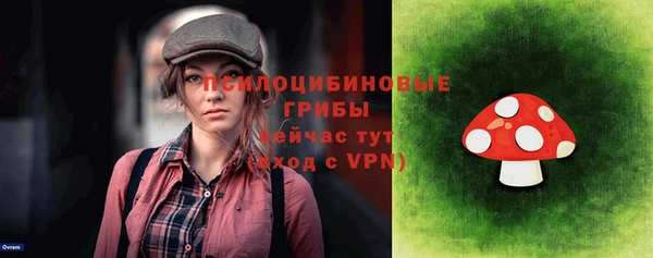 стафф Волоколамск