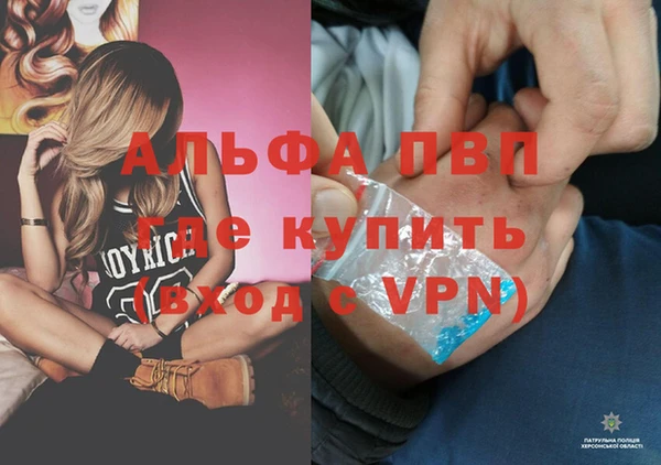 стафф Волоколамск