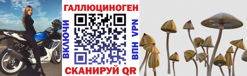 Галлюциногенные грибы мицелий  Шебекино 